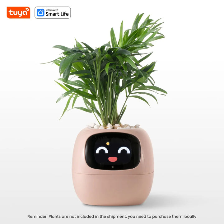 PlantSense – Technology and Emotion for your Plants