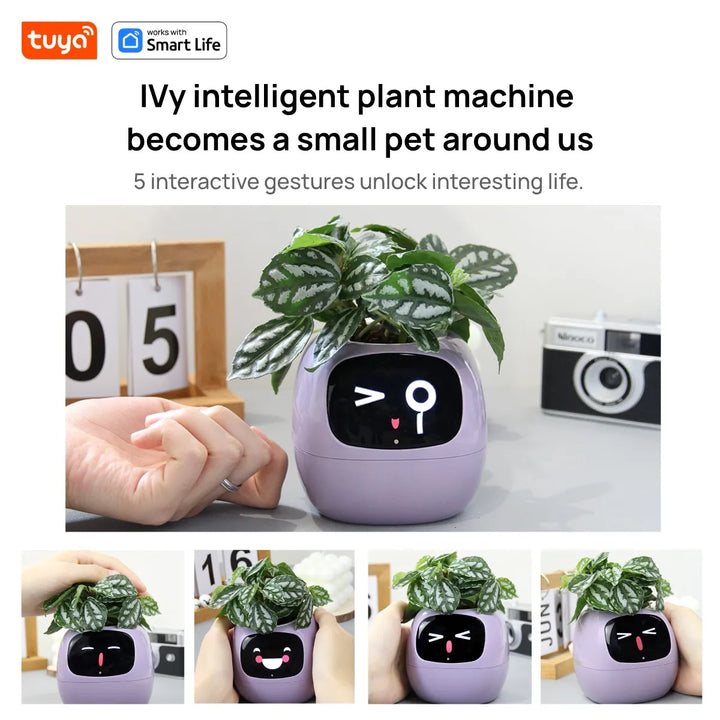 PlantSense – Technology and Emotion for your Plants