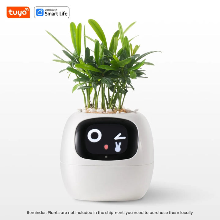 PlantSense – Technology and Emotion for your Plants
