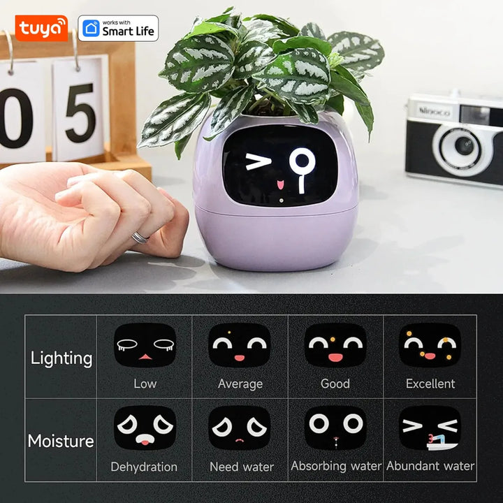 PlantSense – Technology and Emotion for your Plants