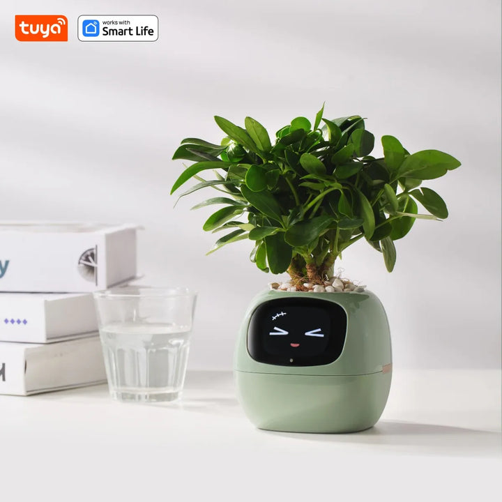 PlantSense – Technology and Emotion for your Plants