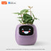 PlantSense – Technology and Emotion for your Plants