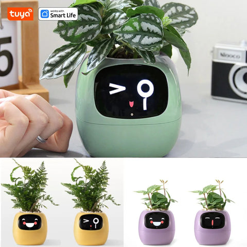 PlantSense – Technology and Emotion for your Plants