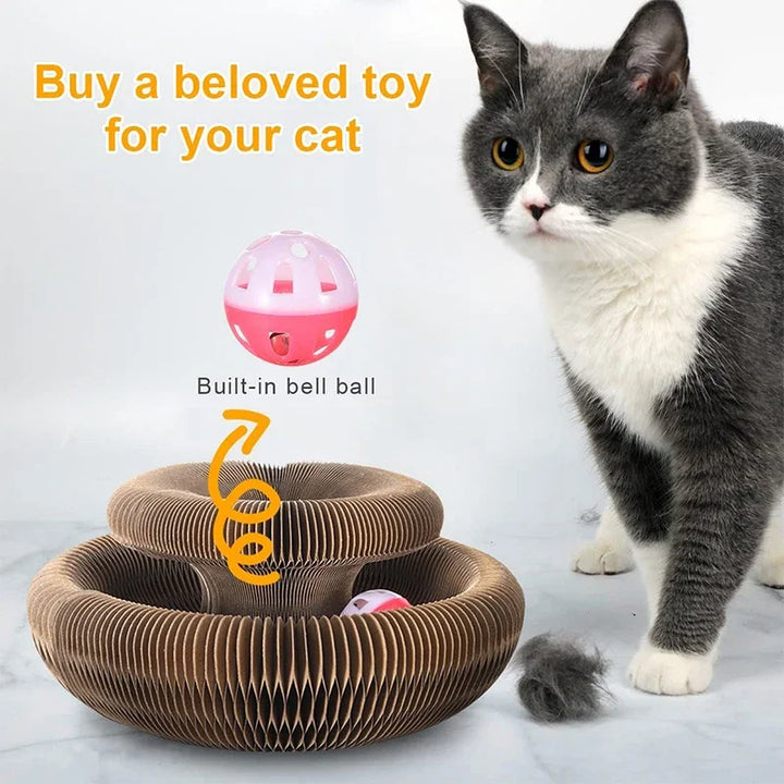 Scratch & Joy